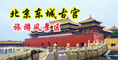 国产白虎被操中国北京-东城古宫旅游风景区